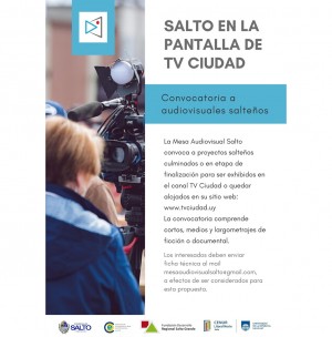 SALTO EN LA PANTALLA DE TV CIUDAD