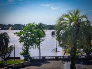 Informe de situación por la creciente del Río Uruguay (11/11/2023 - 18:00 horas)