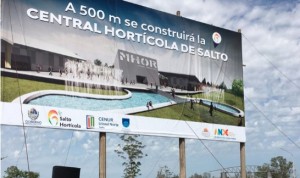 Llamado a Consultor - Asesor para Parque Agroindustrial Alto Uruguay (PAI)